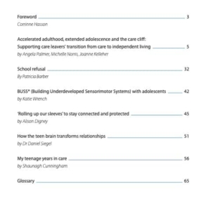 Issue 16 - Teens in care